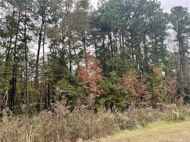Cedar Grove Church Rd, Saint Pauls, NC 28384 - photo 7