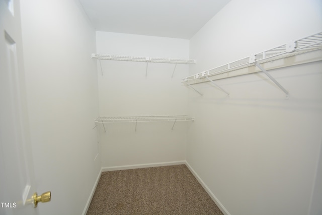 spacious closet with carpet floors