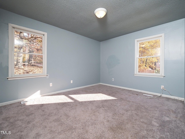 carpeted empty room featuring a healthy amount of sunlight and a textured ceiling