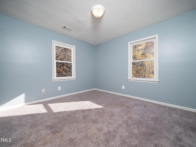 spare room with carpet and a textured ceiling