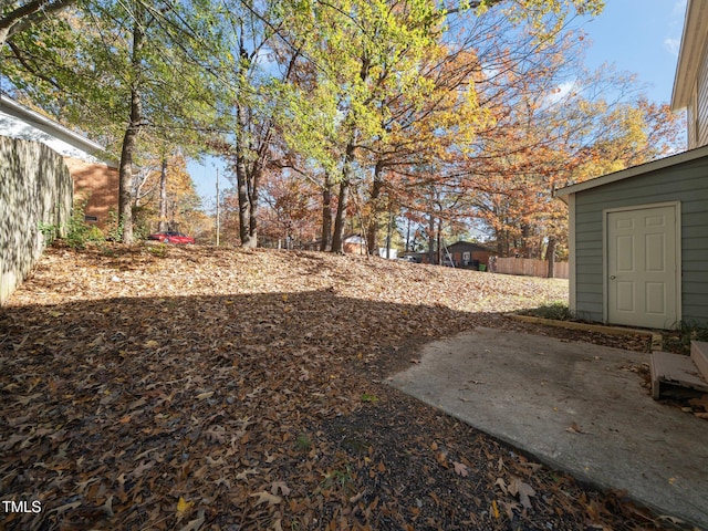 view of yard with a patio