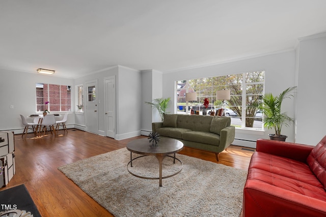 living room featuring wood-type flooring, a baseboard radiator, and ornamental molding