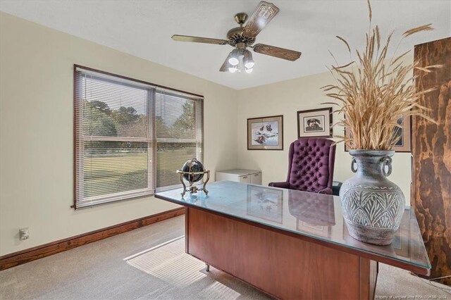 513 Duart Rd, Lumberton, NC 28358 - photo 31