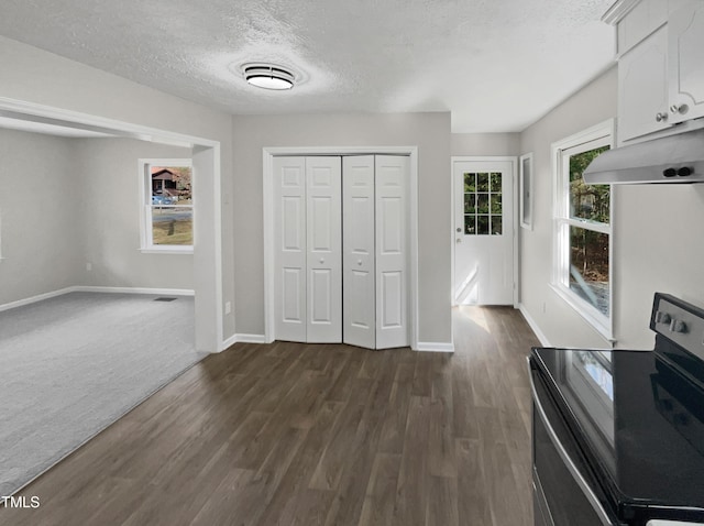 615 Wildaro Ct, Hillsborough, NC 27278 - unfurnished living room with baseboards, a textured ceiling, and dark wood-style floors