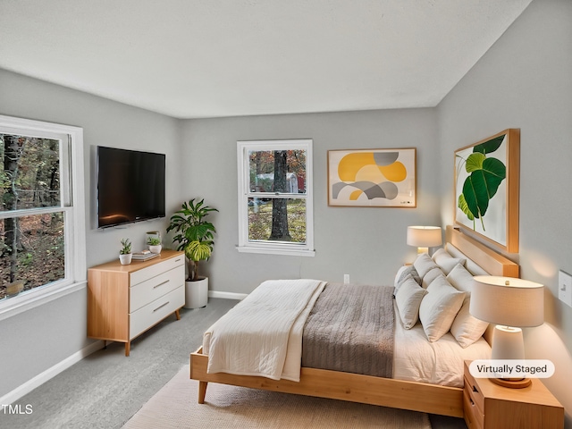615 Wildaro Ct, Hillsborough, NC 27278 - bedroom with light colored carpet, multiple windows, and baseboards