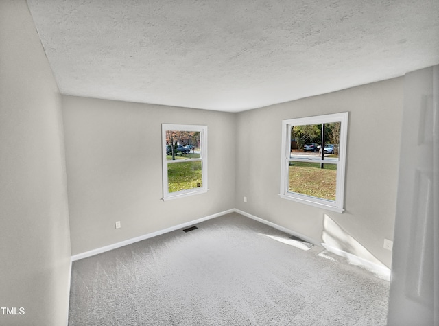 spare room featuring carpet flooring, a textured ceiling, and plenty of natural light