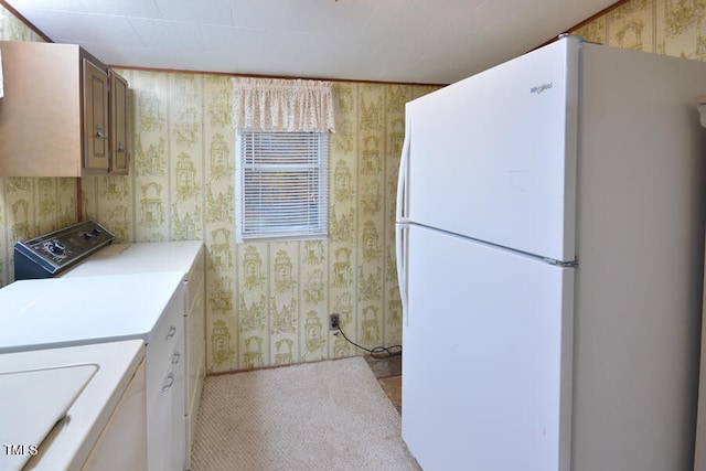 washroom featuring light carpet