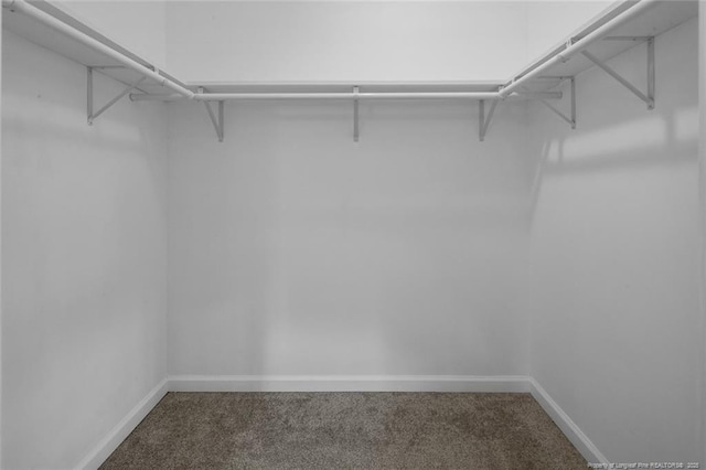 walk in closet with dark colored carpet