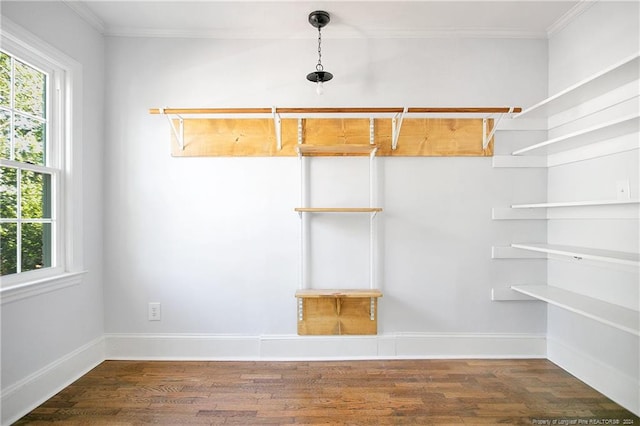 walk in closet with dark wood-type flooring