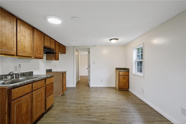 kitchen with wood-type flooring and sink