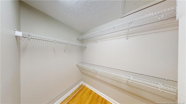 walk in closet with wood-type flooring