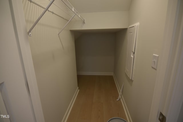 spacious closet featuring wood finished floors