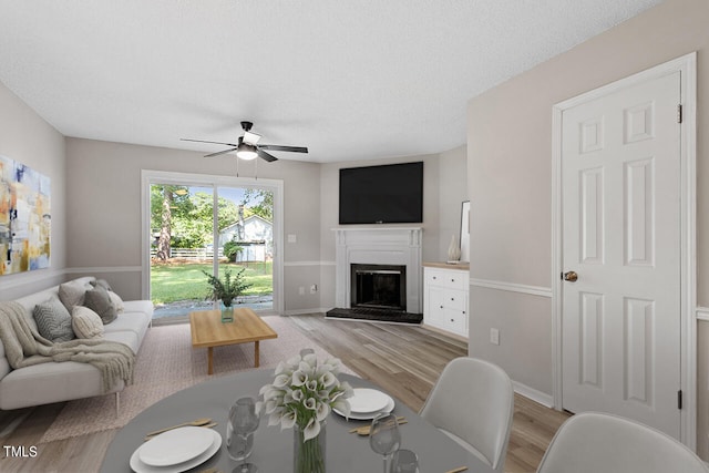 living room featuring ceiling fan, a textured ceiling, and light hardwood / wood-style flooring