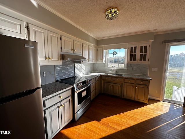 kitchen with dark hardwood / wood-style flooring, tasteful backsplash, stainless steel appliances, crown molding, and sink