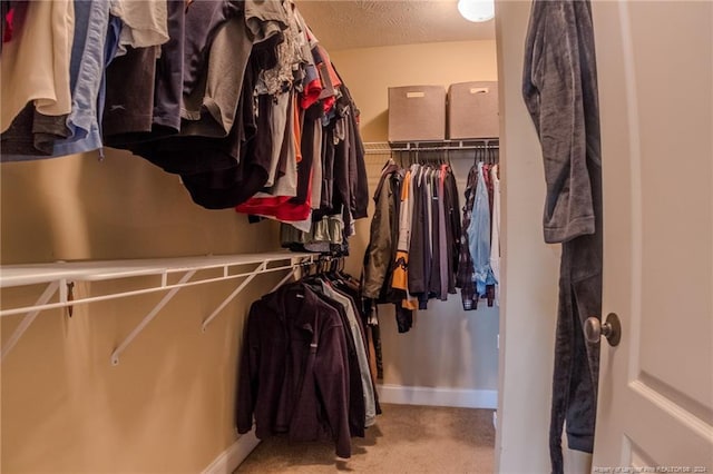 walk in closet featuring light carpet