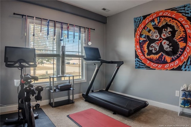 workout area featuring carpet floors