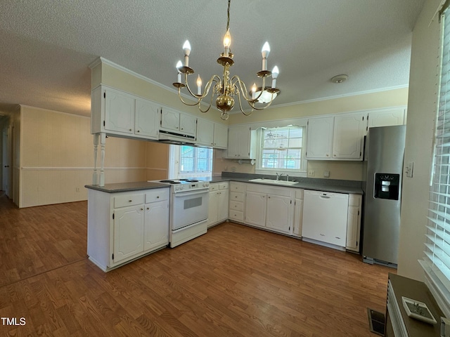 kitchen with white cabinetry, wood-type flooring, and white appliances