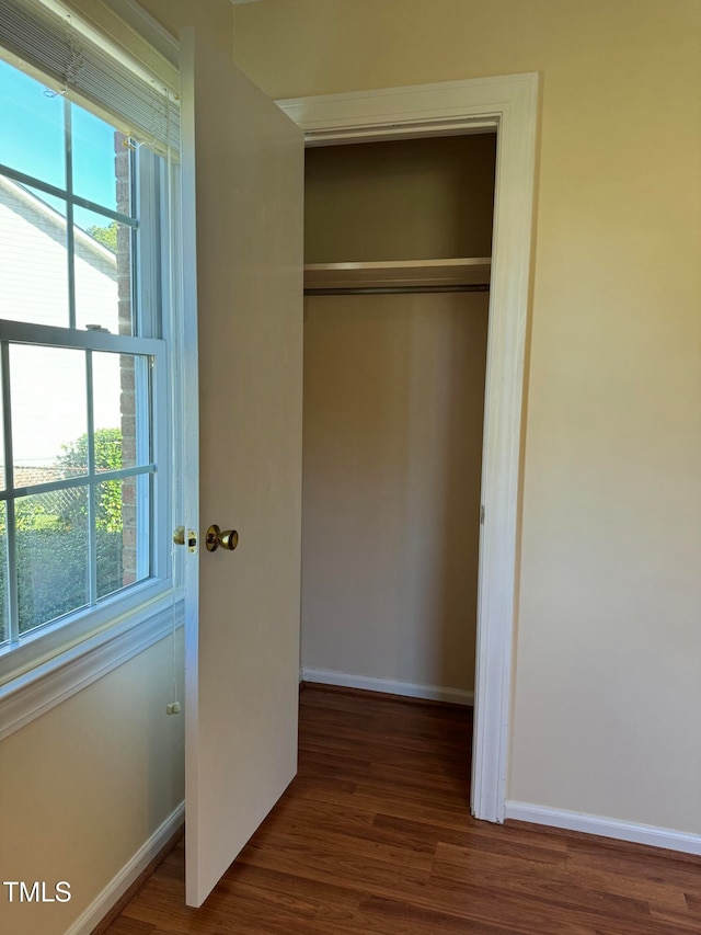 view of closet