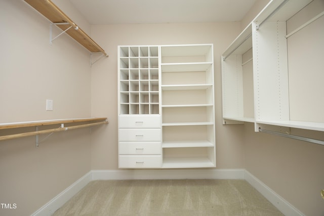 spacious closet with light colored carpet