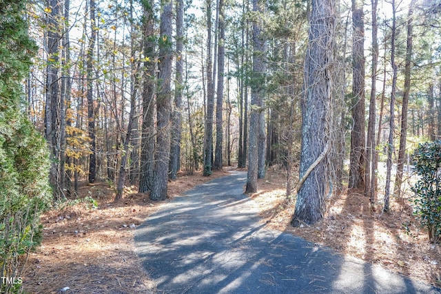 view of road