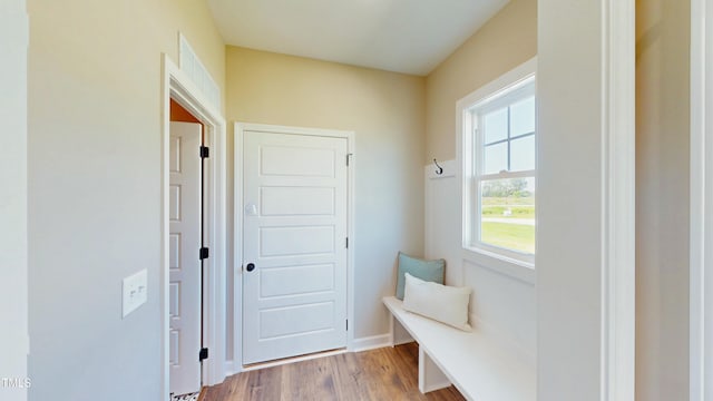 1407 Stoney Creek Church Rd, Goldsboro, NC 27534 - mudroom featuring light wood-type flooring