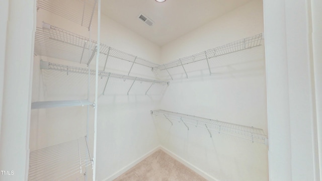 1407 Stoney Creek Church Rd, Goldsboro, NC 27534 - spacious closet featuring light carpet