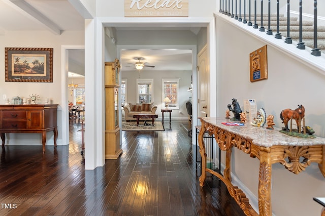 interior space featuring dark wood-type flooring and ceiling fan with notable chandelier