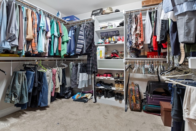 walk in closet with carpet floors