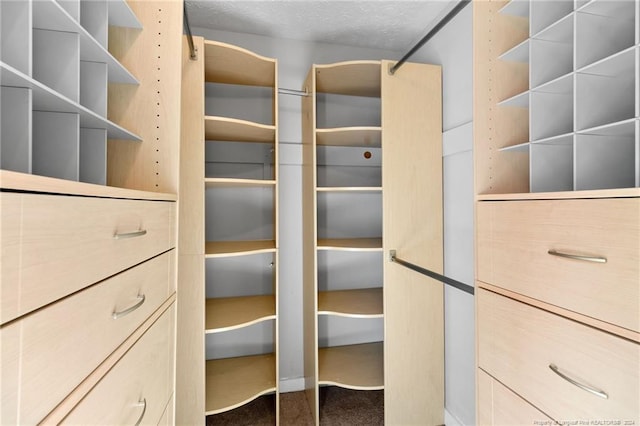 spacious closet featuring carpet