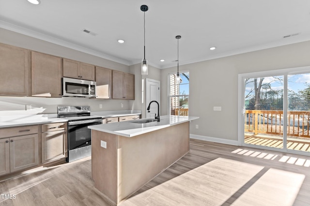 kitchen featuring a kitchen island with sink, sink, light hardwood / wood-style floors, and appliances with stainless steel finishes