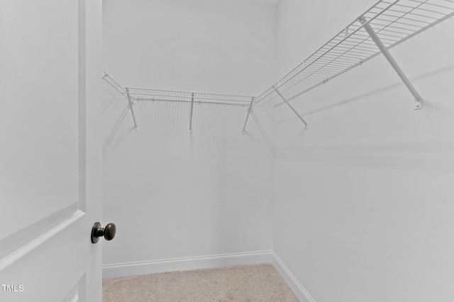 spacious closet with carpet floors