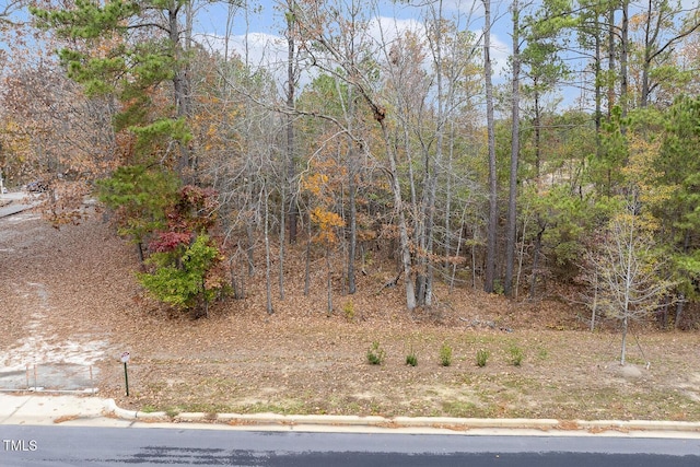 Listing photo 3 for 0 Sneed Ln, Fuquay Varina NC 27526