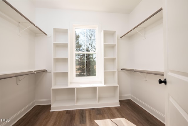 spacious closet with wood finished floors