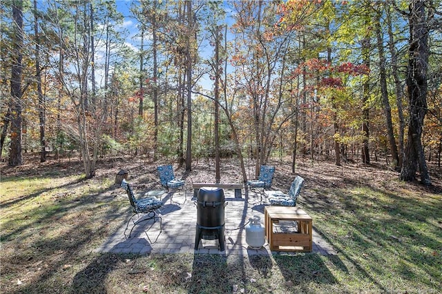 view of yard with a patio area