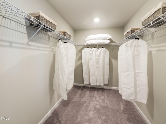 spacious closet with carpet flooring