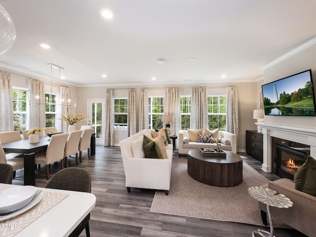 living room featuring ornamental molding and dark wood-type flooring