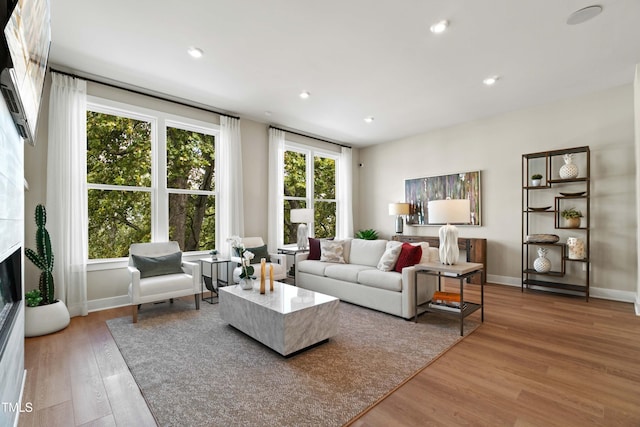 living room with hardwood / wood-style floors