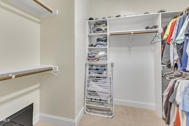 spacious closet with light carpet