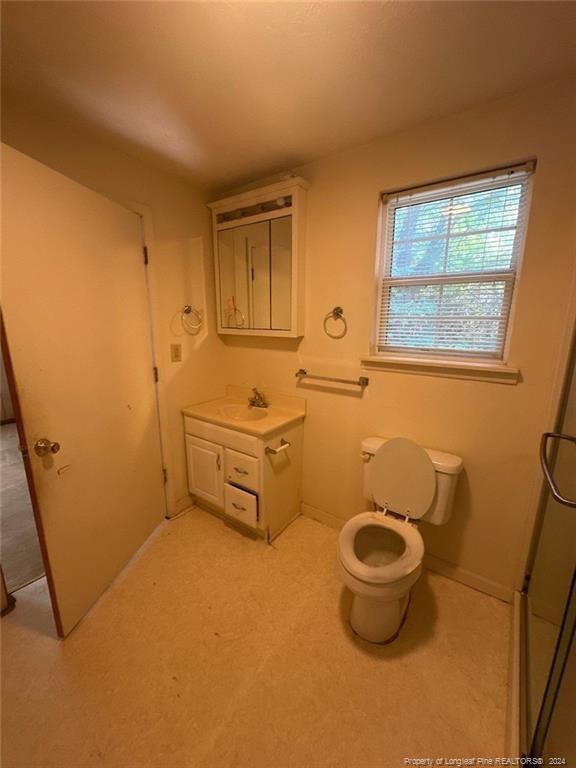 bathroom with vanity and toilet