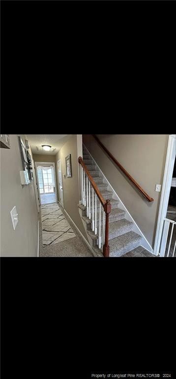 stairway with carpet flooring