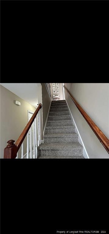 stairs featuring carpet floors