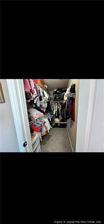 walk in closet featuring carpet flooring