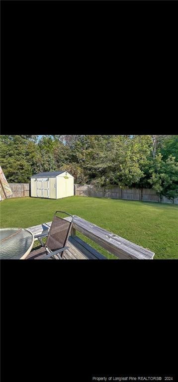 view of yard with a storage shed