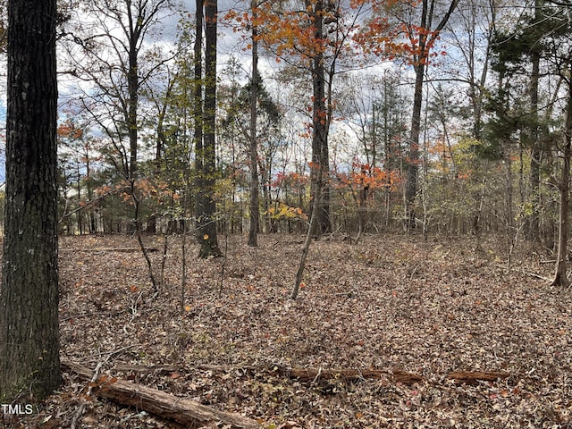 000 Deane Beaver Rd, Bear Creek, NC 27207