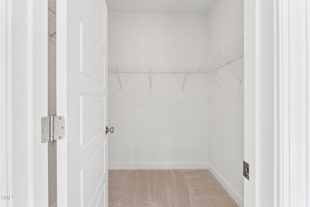 1508 Village Hall Ln, Wake Forest, NC 27587 - photo 21