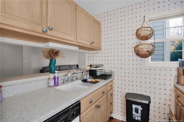 kitchen with light brown cabinets and sink