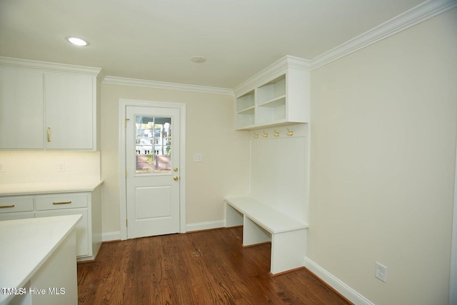 mudroom with crown molding and dark wood-type flooring