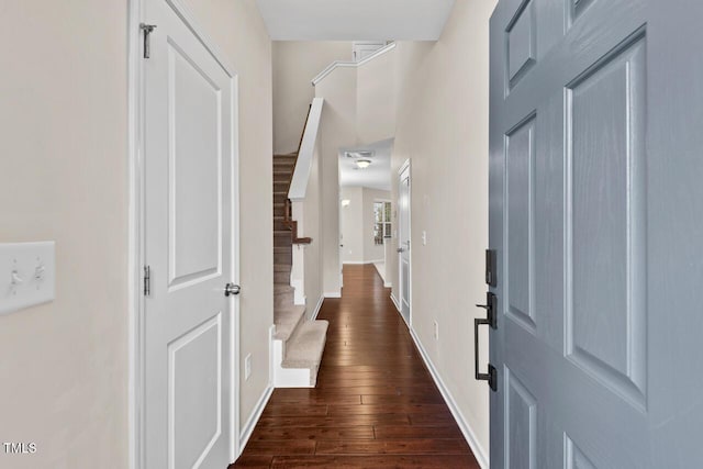 entryway with dark hardwood / wood-style flooring