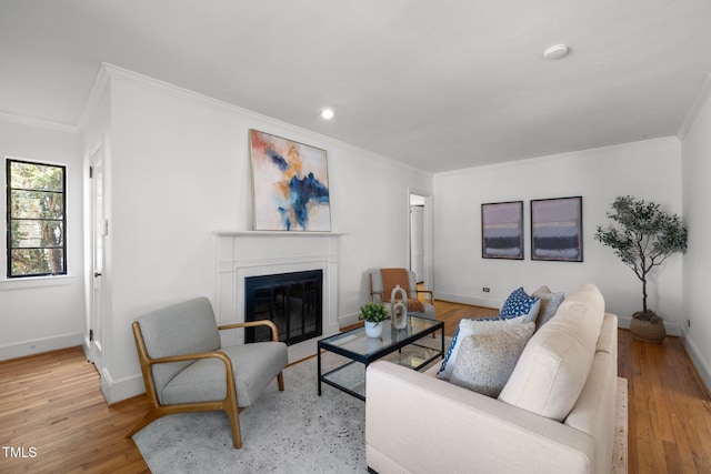 living room with crown molding and light hardwood / wood-style flooring