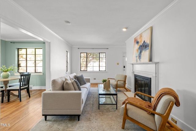 living room featuring crown molding and light hardwood / wood-style flooring